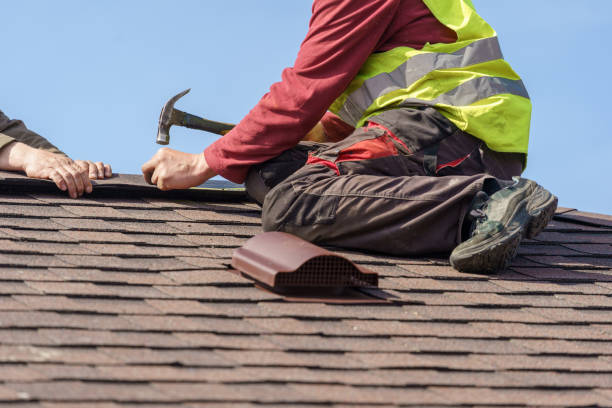 Best Roof Leak Repair  in St Jaco, IL