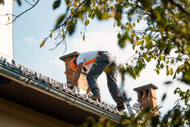 Best Best Roofing Contractors  in St Jaco, IL