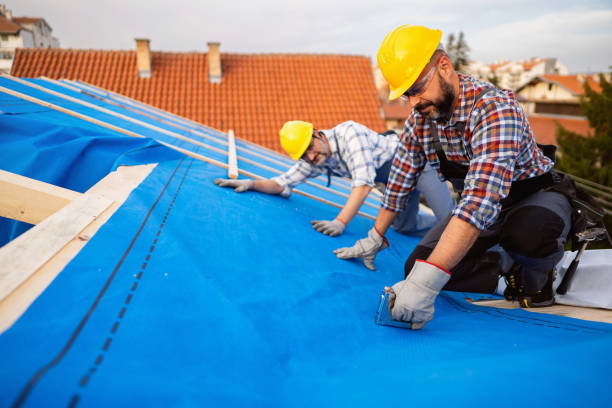 Best Best Roofing Contractors  in St Jaco, IL
